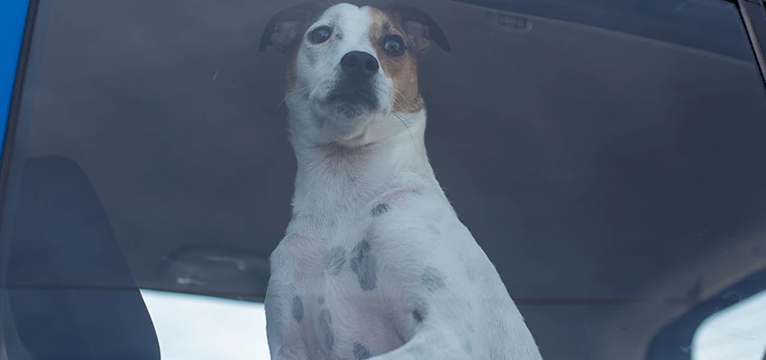 Car Lockout Solutions in Hesperia, California